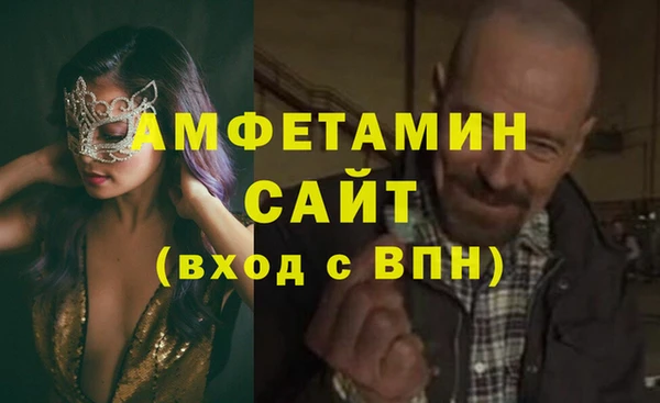 шишки Балахна