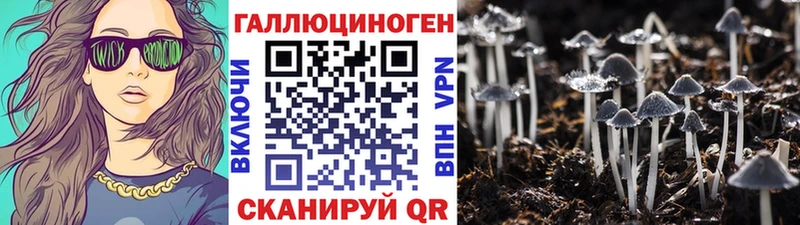 где купить наркоту  Новосокольники  Галлюциногенные грибы GOLDEN TEACHER 